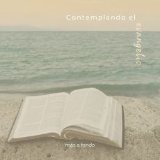 Contemplando el Evangelio