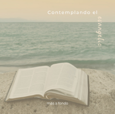 Contemplando el Evangelio
