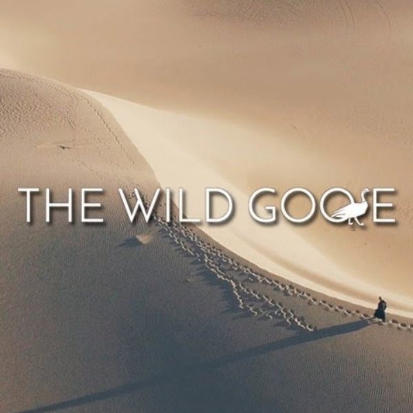 The Wild Goose