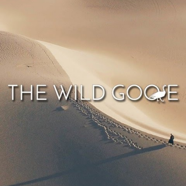 The Wild Goose